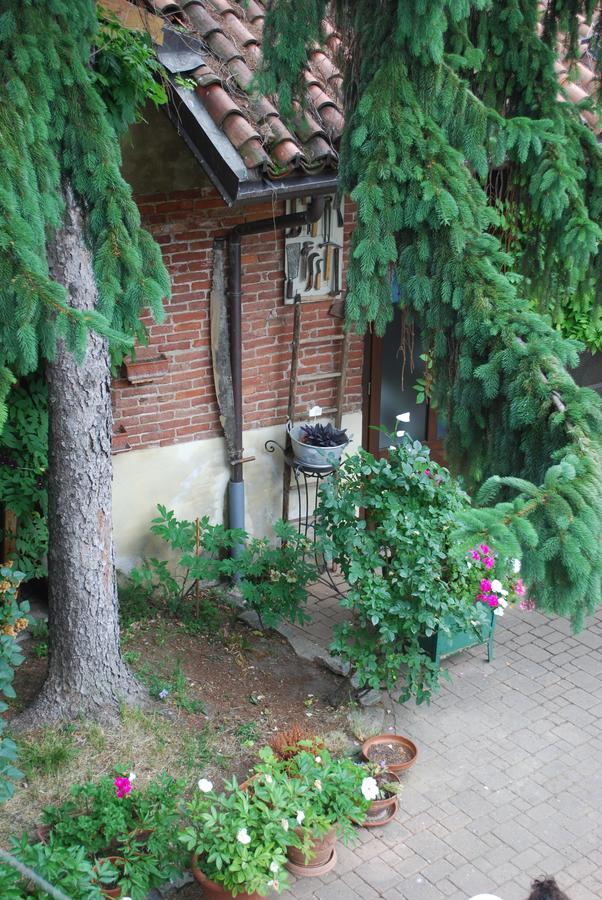 La Curandera Bed & Breakfast Rosta Екстериор снимка